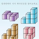 홀수