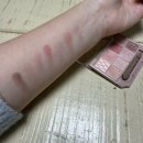 펜슬 아이라이너 메탈룩 마스카라 쁘띠 팔레트 아이즈 퍼펙트 에어리 아이브로우 무치푸루 틴트 구매 후기