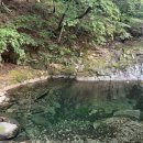 세종데우스