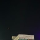 나포칼국수 | [3월 요약] 준비한 체력을 모두 소진했습니다