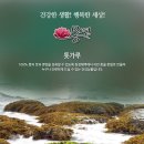 농업회사법인 주식회사 청정식품 이미지