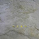 스타세탁·수선 이미지