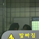 눕스콘 | 1월 일상