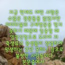 ,닭을 위해 염불하자 부처님께서 닭을 내영하다, 대한 법문 이미지