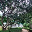 동해 구 삼척개발 사택과 합숙소 이미지