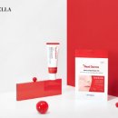 제주제이스타 이미지