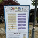 세븐일레븐 춘천제일점 | 춘천 가볼만한 곳 세계주류마켓 7주년 행사 춘천가자 후기
