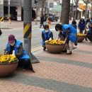 흥선동 행정복지센터 이미지