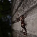 상덕낚시터 이미지