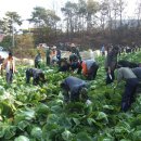 오천사랑나눔의집 이미지