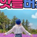만만투어 이미지