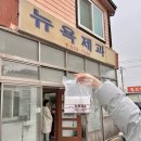 문경 뉴욕제과 예약없이 주말 당일 구매 성공 후기