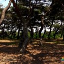 흥덕왕릉 화장실 이미지