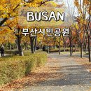 시민공원 남문 인근-1 | 부산 시민공원 가을 단풍 나들이 돗자리 명당 가볼만한곳