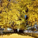 덕곡(중앙) 이미지