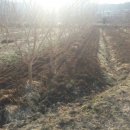 용우농장 이미지