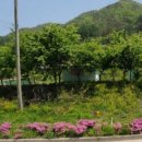 강림면343 이미지