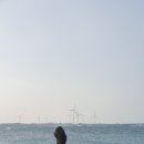 바램이머무는곳 이미지