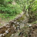 영덕공인중개사사무소 이미지