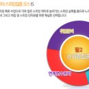에이스체크 이미지
