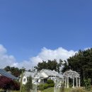 레인보우 캐슬 | 레인보우캐슬리조트 펜션 / 충남 태안군
