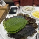 천연애 티스토리