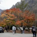 국립공원 내장사의 단풍과 우화정 이미지