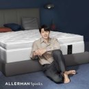 알레르망스핑크스 - 8724 | 알레르망스핑크스
