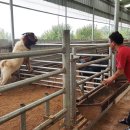 웅비농장 이미지