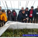 청수농장 이미지