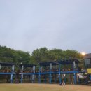 금남멧돼지 이미지