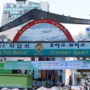 자갈치유통