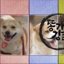 강림농장 이미지