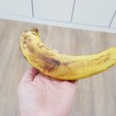 스포웰짐 월곡점 이미지