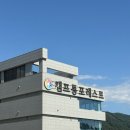 캠프통포레스트 | 내돈내산ㅣ가평 빠지 “캠프통포레스트“ 솔직후기