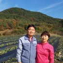 명숙농장 이미지