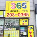 노란공인중개사사무소 이미지