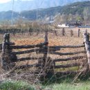 월영마을로 이미지