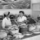 국립해양박물관 이미지