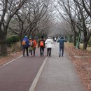 낙동강제방(3) 이미지