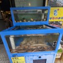 가락마을602동앞 | 송파 가락동 장어 맛집 찾는다면 여기가 정답! 통보장어마을 가락점 왕특대 사이즈 장어 3마리 먹은 후기