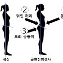 애룰바디 이미지