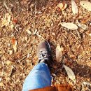 대덕사이언스길(제1코스) 이미지