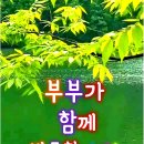 성환수지 이미지