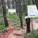 조광약수터 이미지