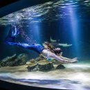 모모호텔2 이미지