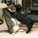 스마일 짐 이미지