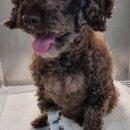 윤슬동물병원 이미지