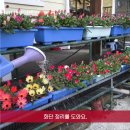 통영미륵펜션 이미지