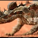 향기있는풍경 이미지